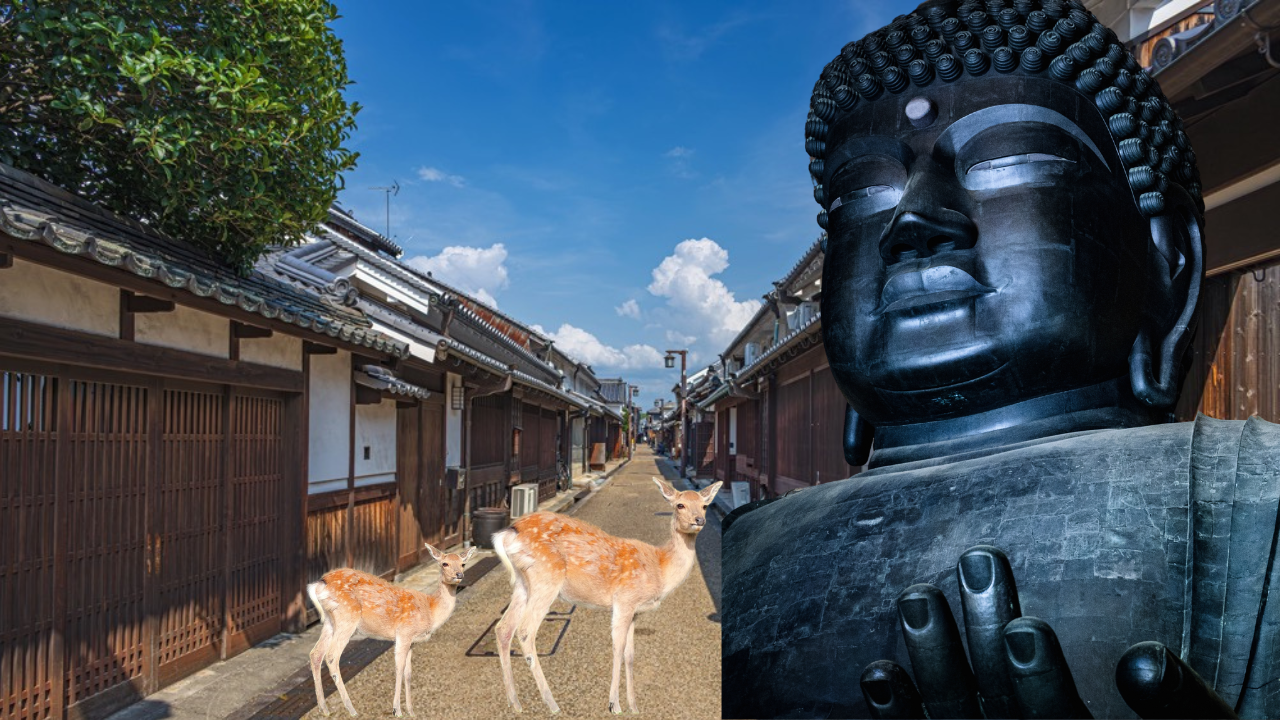 奈良観光7時間